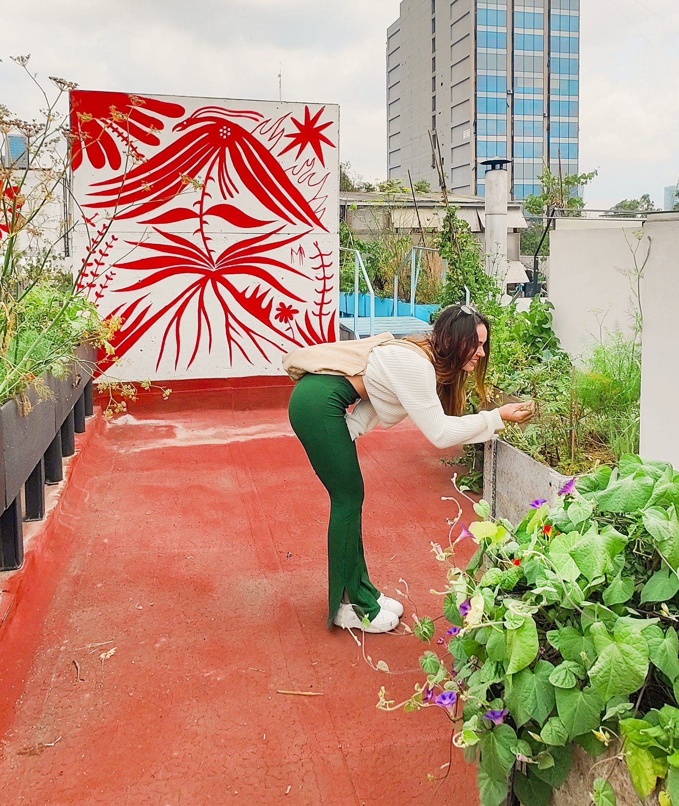 Rooftop garden · Mexico City, 2023