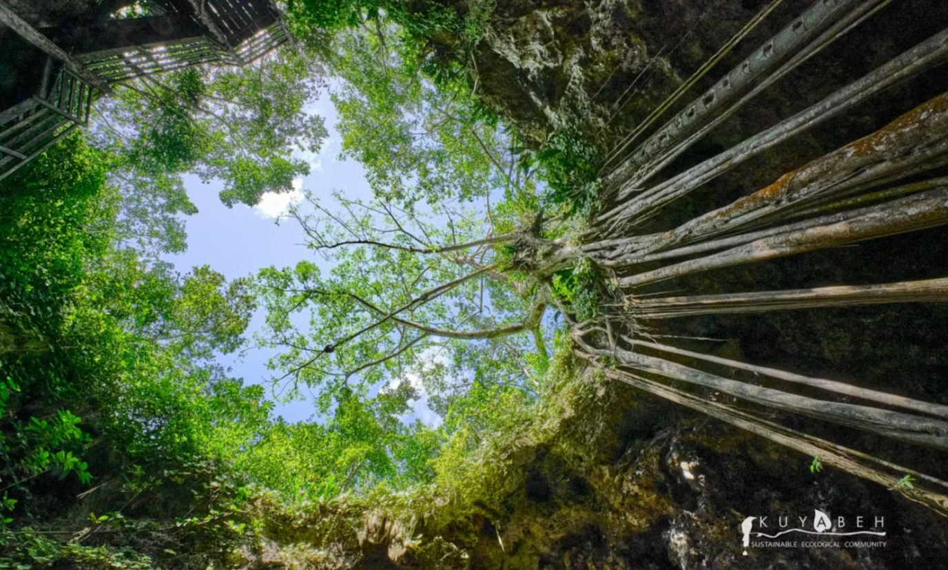 View from a cave cenote at Kuyabeh, Mexico