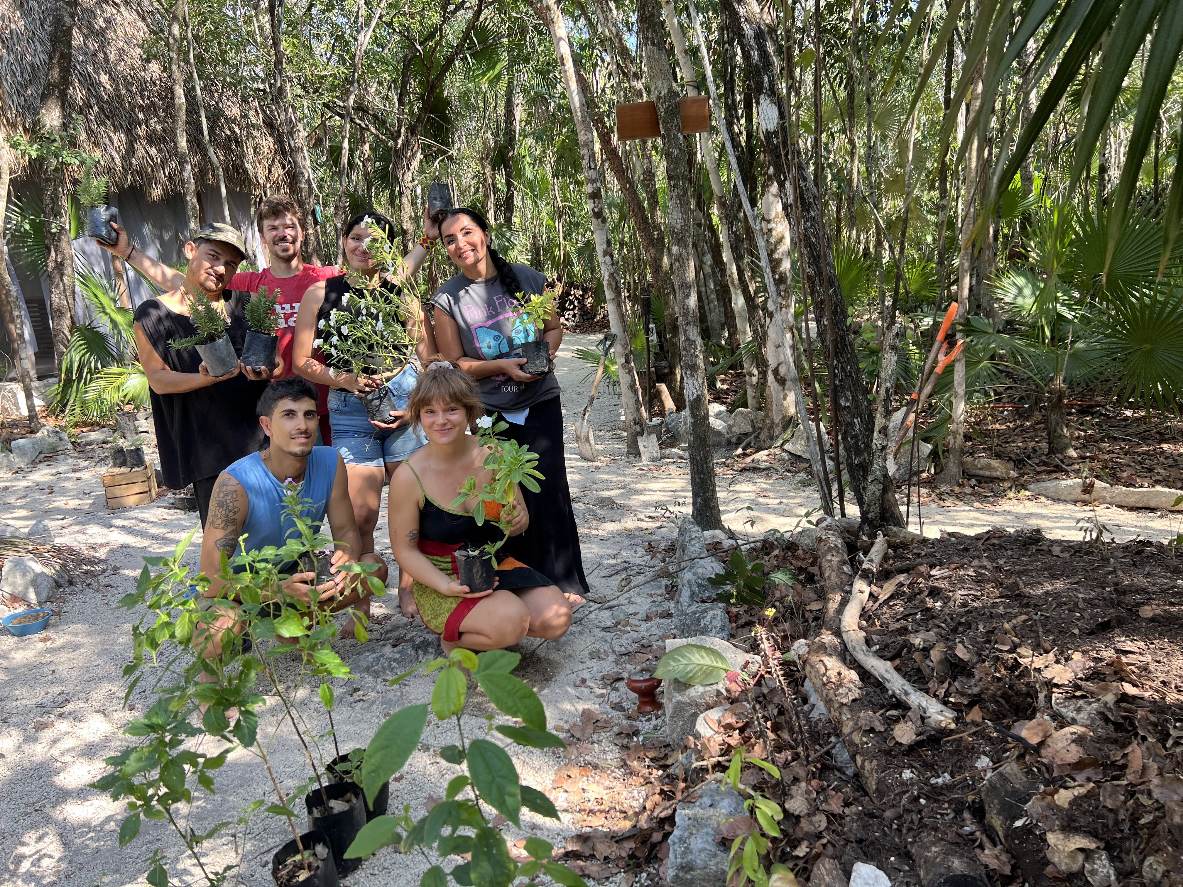 Planting in the jungle · Tulum, 2024