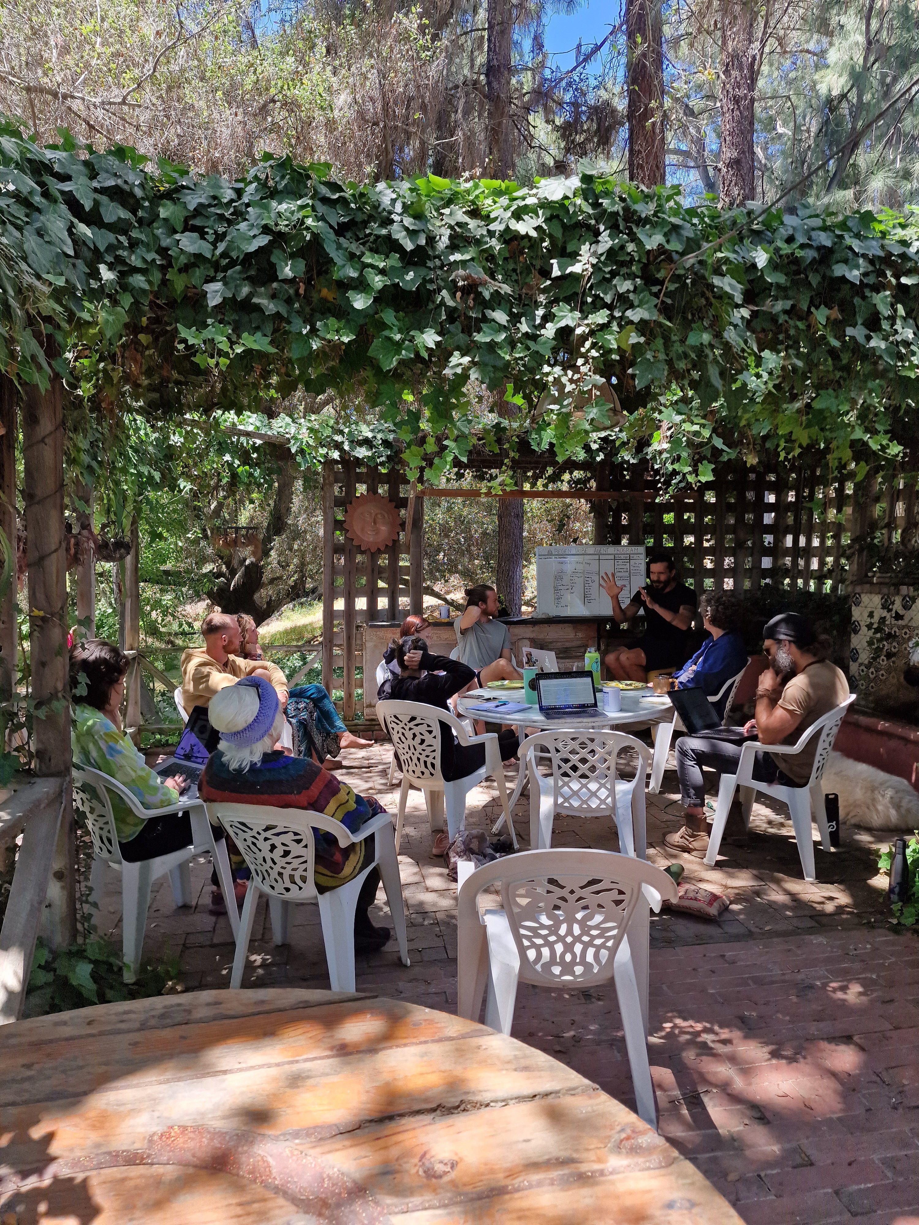 Outdoor workshop session